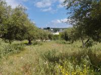 Grundstück kaufen Kalyves klein rosgjsc59vx7