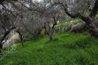 Grundstück kaufen Kalyves klein xty8bedcfuvc