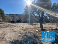 Grundstück kaufen Kamilari klein 6dkobwvyaa0f