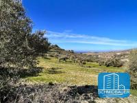 Grundstück kaufen Kamilari klein db742w7g19le