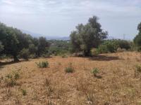 Grundstück kaufen Karoti klein rtjab62nz2xq