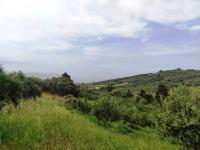 Grundstück kaufen Kastellos bei Kournas klein 0x6qhv19qwsj