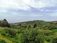 Grundstück kaufen Kastellos bei Kournas klein 41os53dcsice