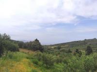 Grundstück kaufen Kastellos bei Kournas klein ciy1br109g2k