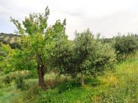 Grundstück kaufen Kastellos bei Kournas klein g4xgwf3t8kjc