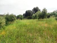 Grundstück kaufen Kastellos bei Kournas klein j1xbutaw8kvj