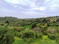 Grundstück kaufen Kastellos bei Kournas klein jet22ngkn6jp