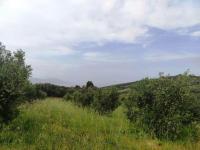 Grundstück kaufen Kastellos bei Kournas klein lsok0mixc8op