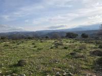 Grundstück kaufen Kato Valsamonero klein gagb6hip05do