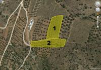 Grundstück kaufen Kavousi klein ozv3jrnrjyf4