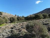 Grundstück kaufen Kavousi, Ierapetra, Lasithi, Kreta klein 0fow1c94eyd6