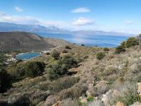 Grundstück kaufen Kavousi, Ierapetra, Lasithi, Kreta klein hkw99hqtm7ud