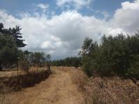 Grundstück kaufen Kefalas klein abw86x5q1y1n