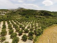 Grundstück kaufen Kera bei Kalyves klein fzgbc8h35quq