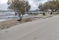 Grundstück kaufen Kissamos klein dwumgzo67h2t