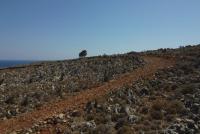 Grundstück kaufen Kokkino Chorio klein h6g2z7jjcu38