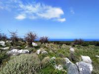 Grundstück kaufen Kokkino Chorio klein y0mkxw74nqo3