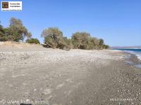 Grundstück kaufen Kokkinos Pyrgos klein fiu0wuqavc1p