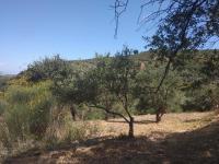 Grundstück kaufen Kolymvari klein ayx6s7zncm9r