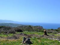 Grundstück kaufen Kounali, Neapolis, Lasithi, Kreta klein qrfkarho4vhe