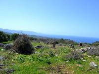Grundstück kaufen Kounali, Neapolis, Lasithi, Kreta klein sxu1o926xwkt