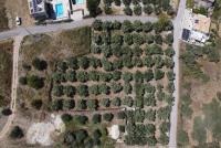 Grundstück kaufen Kournas klein vuw8437kfomd