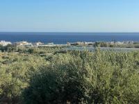 Grundstück kaufen Koutsouras klein y1vjirsgnck7