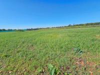 Grundstück kaufen Küstriner Vorland klein tw96viha3e9o