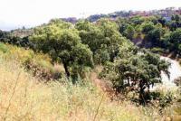 Grundstück kaufen LA MAIRENA klein x0sh5g6c7294