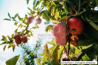 Grundstück kaufen Lana klein orarmsssj3va