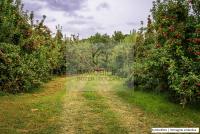 Grundstück kaufen Lana klein trsoazyw8tkx