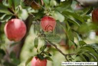 Grundstück kaufen Lana klein unvqwah6pf2d