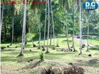 Grundstück kaufen Las Terrenas klein 1to5ejzski89