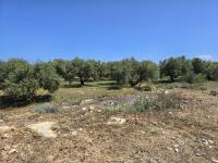 Grundstück kaufen Latsima klein 608u0uz4dyel