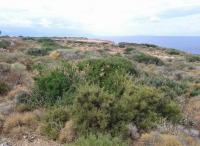 Grundstück kaufen Latsima klein bkuck6vw0m1p