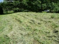 Grundstück kaufen Lautenbach klein 6vgiot8nh3x7