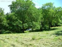 Grundstück kaufen Lautenbach klein 98nj1h2vsowx