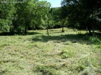 Grundstück kaufen Lautenbach klein rr4cbddxet1n