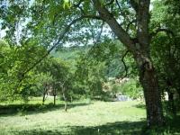 Grundstück kaufen Lautenbach klein z81ybd3q7ywq