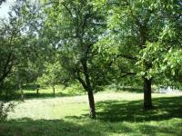 Grundstück kaufen Lautenbach klein zpzuvw7bsf6d