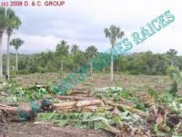 Grundstück kaufen Licey klein huxv9lco1xdp