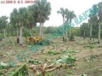 Grundstück kaufen Licey klein jbkwhw674bdg