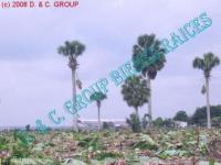 Grundstück kaufen Licey klein mfi9f8so0pg7