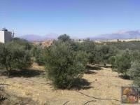 Grundstück kaufen Listaros klein myftj3ag5i8a