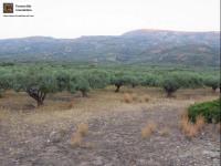 Grundstück kaufen Lithines Kreta klein 7xmx8gj1v7yd