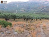 Grundstück kaufen Lithines Kreta klein rk77vtaejx0e