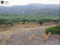 Grundstück kaufen Lithines Kreta klein t1aaqzy24ryo