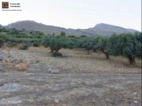 Grundstück kaufen Lithines Kreta klein t5cwnt6lzlm0