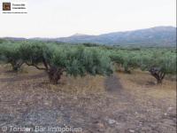 Grundstück kaufen Lithines Kreta klein w5rabtj3ysy0