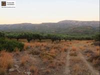 Grundstück kaufen Lithines Kreta klein wxd0d8450qe8